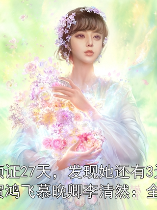 求女友领证27天，发现她还有3天才能离婚贺鸿飞慕晚卿李清然：全文+后续