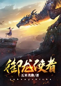 御龙使者小说