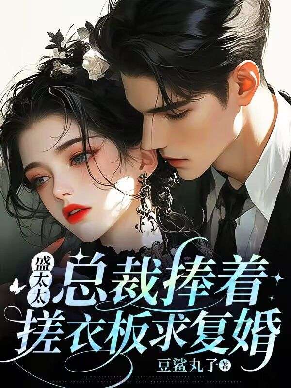 盛太太，总裁捧着搓衣板求复婚小说