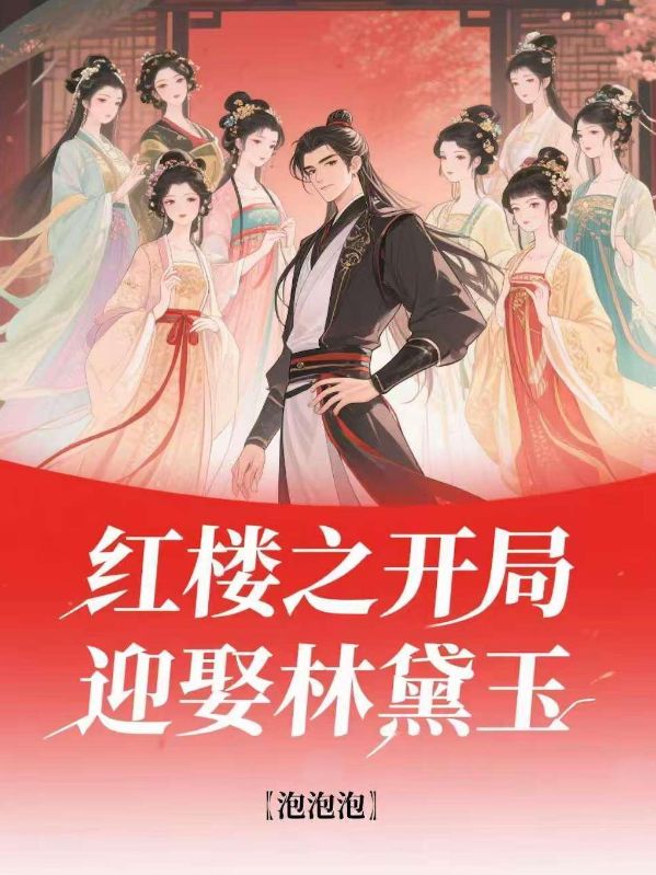 红楼之开局迎娶林黛玉小说