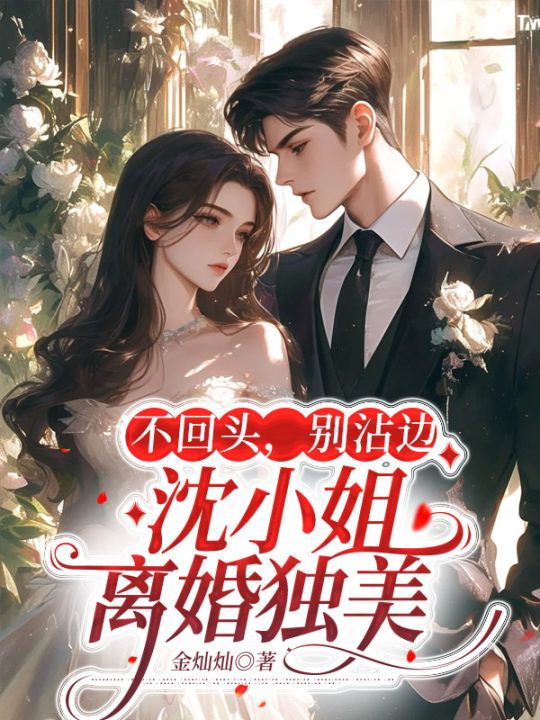 《不回头，别沾边，沈小姐离婚独美》小说大结局在线试读 沈楠熙叶婉莹小说阅读