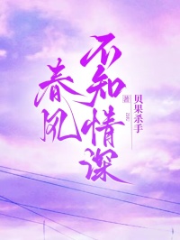 春风不知情深小说