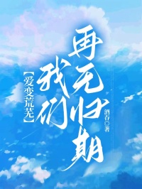 爱变荒芜，我们再无归期小说