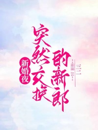 新婚夜突然交换的新郎小说