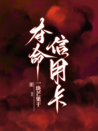 夺命信用卡小说