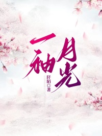 一袖月光宋拂衣崔烨小说完整篇在线阅读