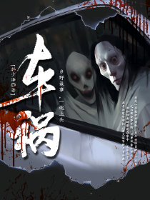 车祸小说