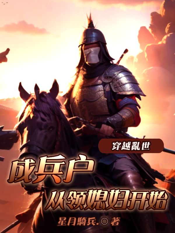 娶妻变强，我在大梁无敌了小说