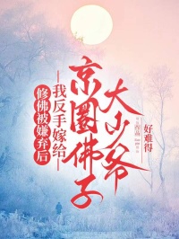 修佛被嫌弃后，我反手嫁给京圈佛子大少爷任芷付年小说完整篇在线阅读