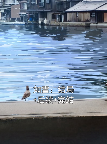 如雪：結局+后續+完結