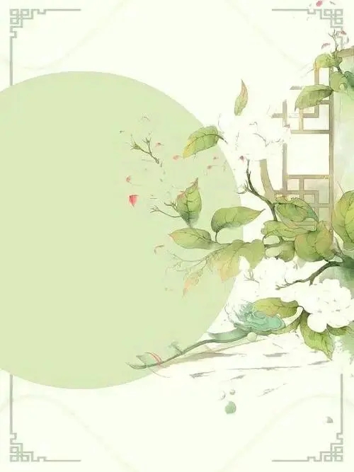 沈梔寧裴燁安