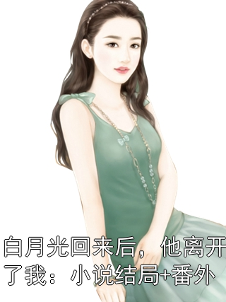 白月光回来后，他离开了我：小说结局+番外宋熠安沁赵婧无广告小说全集阅读