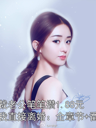 总裁老公笔笔攒1.88元，我直接离婚：全章节+番外