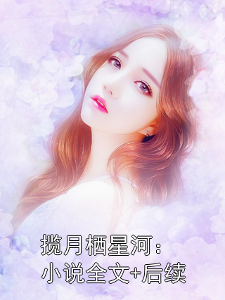 揽月栖星河：小说全文+后续
