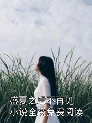 盛夏之后不再见小说全文免费阅读小说