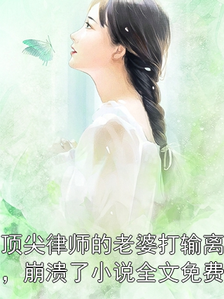 身为顶尖律师的老婆打输离婚官司后，崩溃了小说全文免费阅读