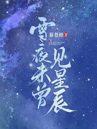 雪夜未曾见星辰