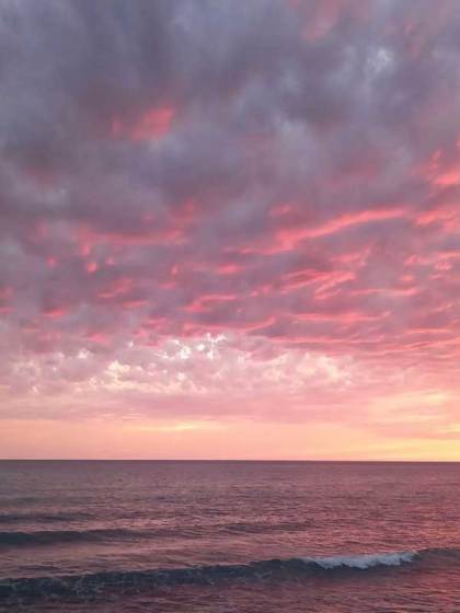 胎儿助我脱贫致富，我直接反手打胎苏明珩小说完整篇在线阅读