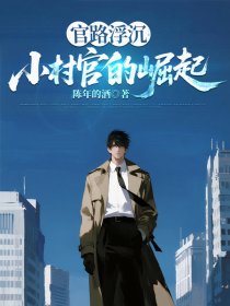 官路浮沉：小村官的崛起小说