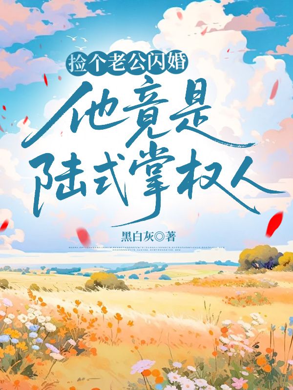 陆琛莫暖 捡个老公闪婚，他竟是陆式掌权人完结版在线阅读