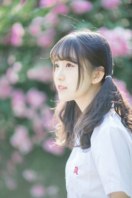 娇软嫡女不追后，世子爷开始发疯