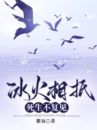 冰火相抵,死生不复见