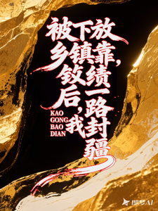 被下放乡镇后，我靠政绩一路封疆