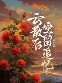 云散后空留追忆小说