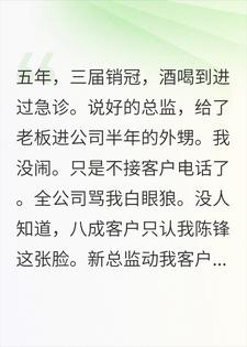 总监给了老板外甥，我掏空了他整个公司小说