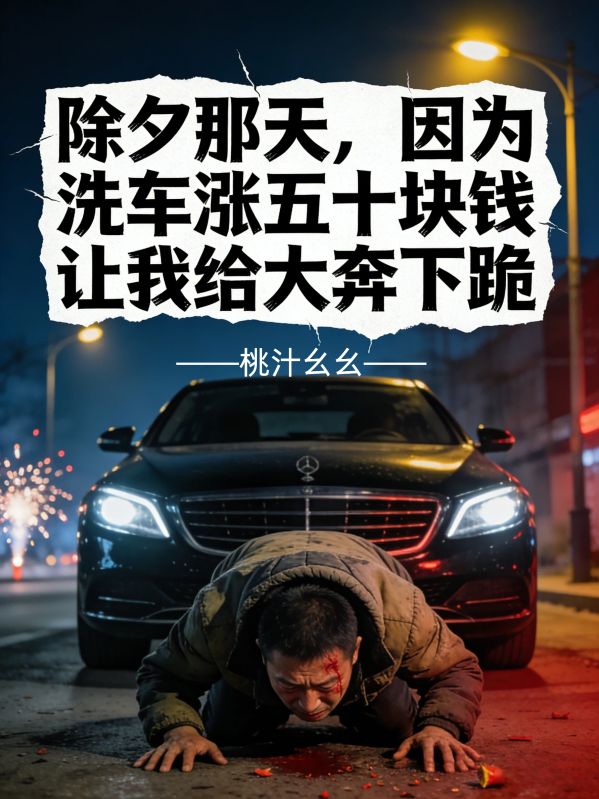 除夕那天，因为洗车涨五十块钱让我给大奔下跪小说