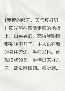 摇摇主人 摇摇完结版在线阅读