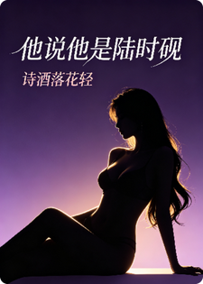 他说他是陆时砚