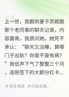 重生回妻子出轨那晚，我笑着看她走向绝路小说