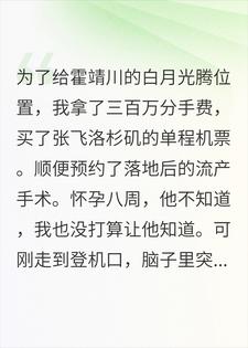 登机前，肚里的崽开口了小说