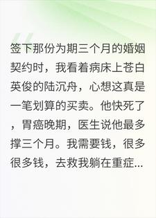 契约丈夫的临终关怀