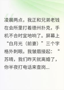 分手上瘾？前妻求你别来沾边小说