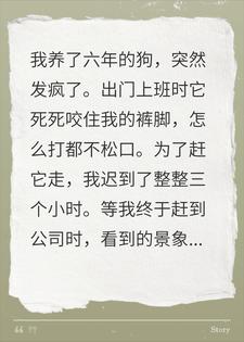 养六年的狗突然发疯不让出门上班，到公司我吓瘫了