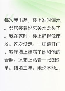 出差就漏水，踹开门后我不装了小说