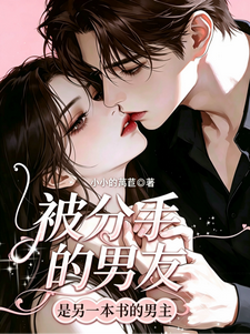 被分手的男友是另一本书男主