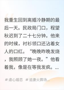 他为白月光迟到，我签字走人辛晚照程望秋小说完整篇在线阅读