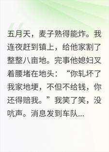 割完小麦不给钱？暴雨来临三百亩无人收，你慌了小说