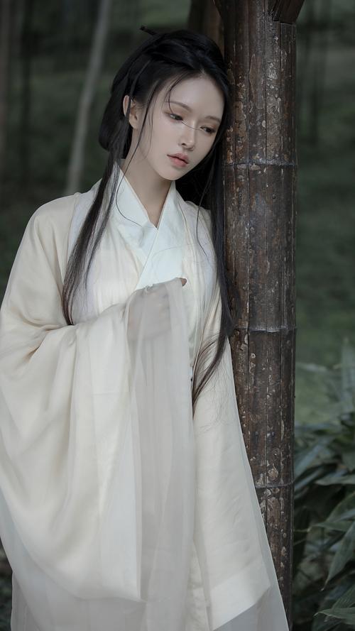 雅琦胤禛