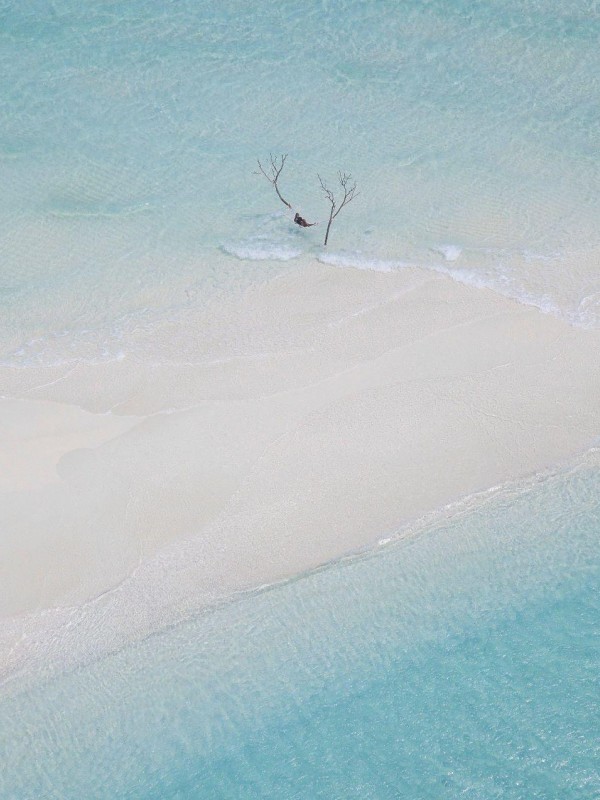 鬼母的复仇王建王舍小说完整篇在线阅读