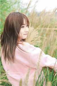 《假面骑士:开局召唤龙骑》苏晨艾姆斯章节在线阅读