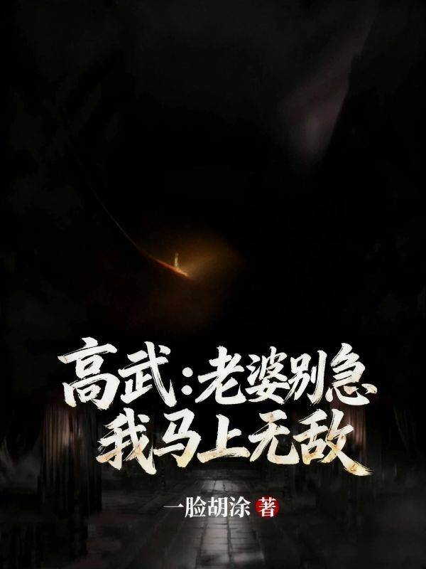 高武：老婆别急我马上无敌小说