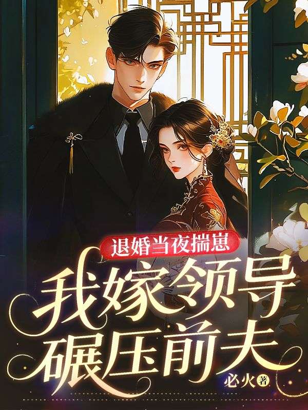 林晚林月 退婚当夜揣崽，我嫁领导碾压前夫完结版在线阅读