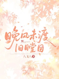 晚风未渡旧瞠目