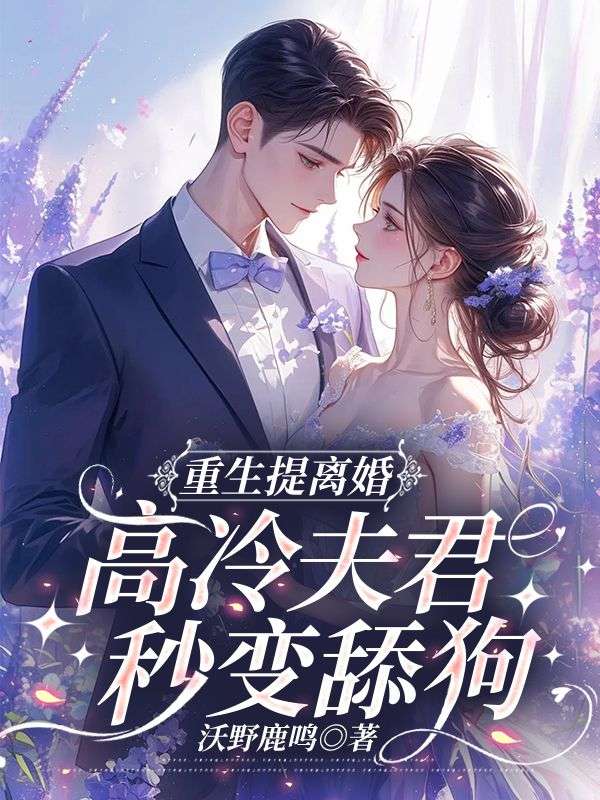 重生提离婚，高冷夫君秒变舔狗小说