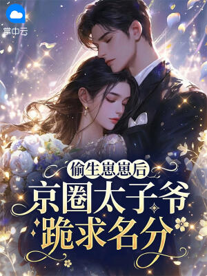 偷生崽崽后，京圈太子爷跪求名分小说
