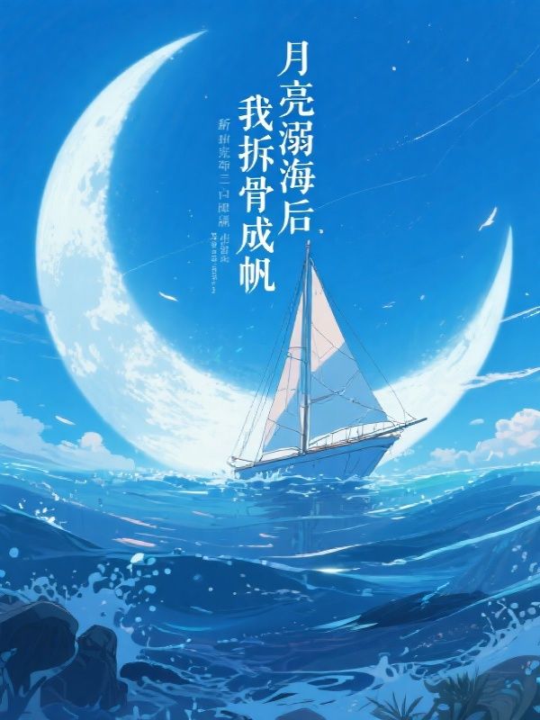 月亮溺海后，我拆骨成帆沈屿苏晚小说完整篇在线阅读